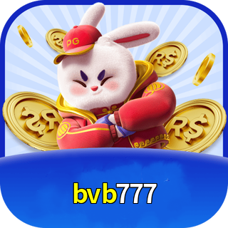 bvb777
