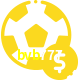 Aposte em esportes do mundo todo no bvb777!